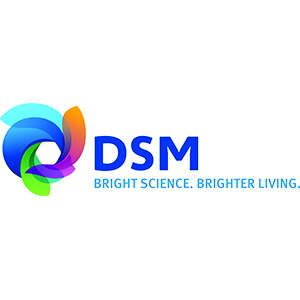 DSM logo