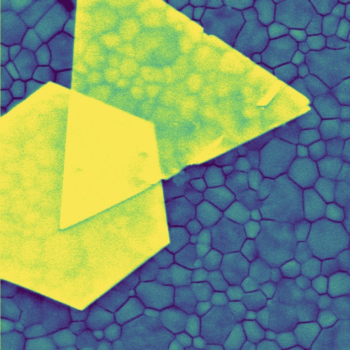 Gold Micro-Shapes, Anna Osherov, Farnaz Niroui, Vladimir Bulovic, et al.